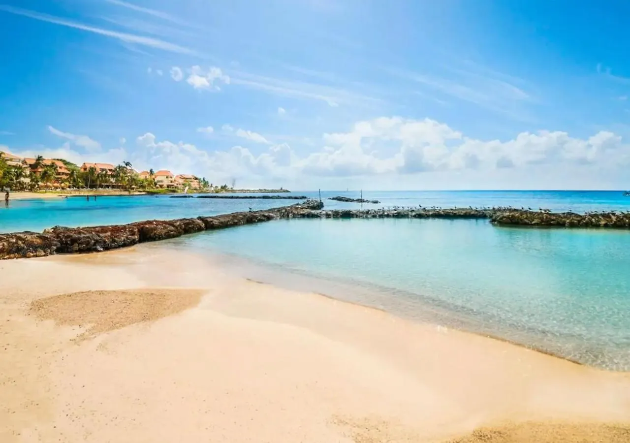 Beachfront Breathtaking Views 푸에르토 아벤투라스 아파트